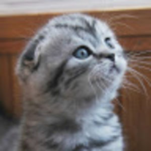 Meet your Posher, Juan